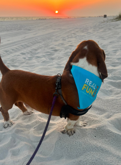 Real.FUN.Pups. Dog Bandanas